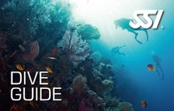 Dive-Guide-Bodensee