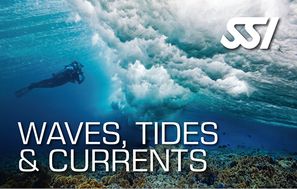 SSI-Waves-Tides-Currents
